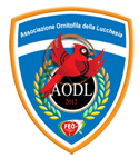 aodl medium